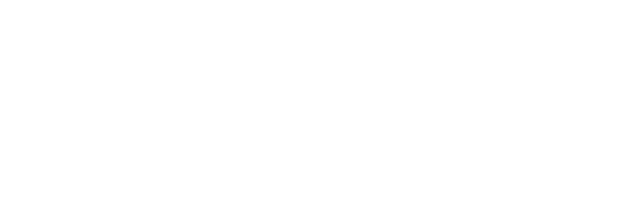 NN_logo_horizontal_white2